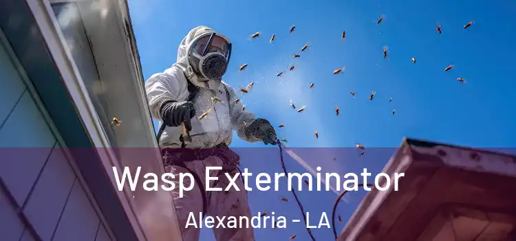 Wasp Exterminator Alexandria - LA