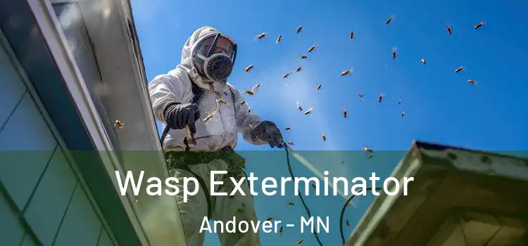  Wasp Exterminator Andover - MN