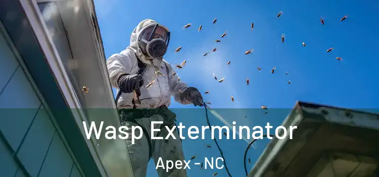  Wasp Exterminator Apex - NC
