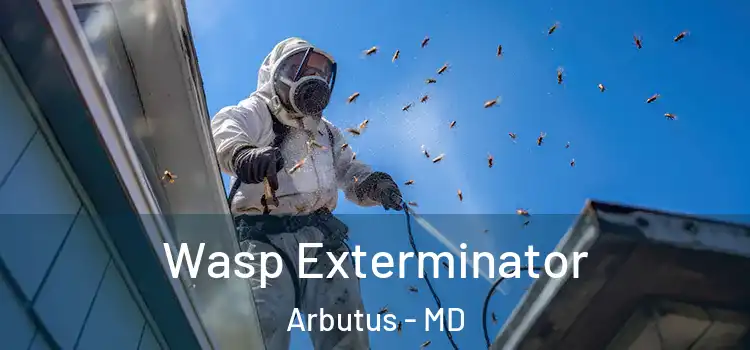  Wasp Exterminator Arbutus - MD