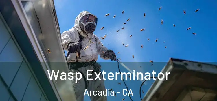  Wasp Exterminator Arcadia - CA