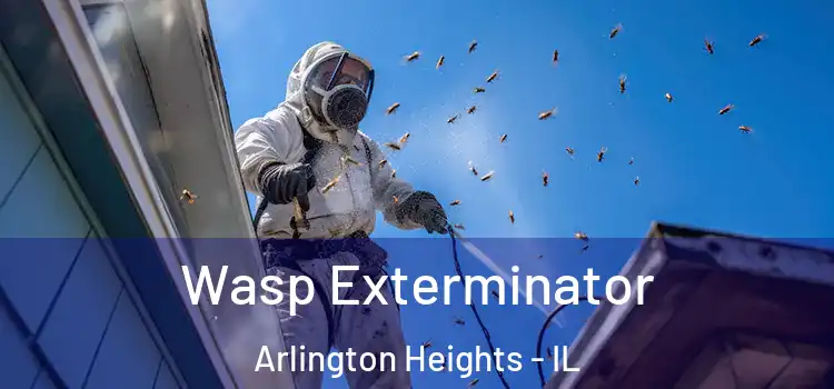  Wasp Exterminator Arlington Heights - IL