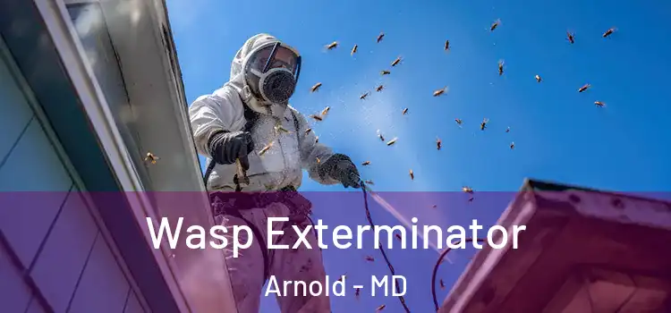 Wasp Exterminator Arnold - MD