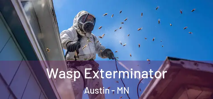  Wasp Exterminator Austin - MN