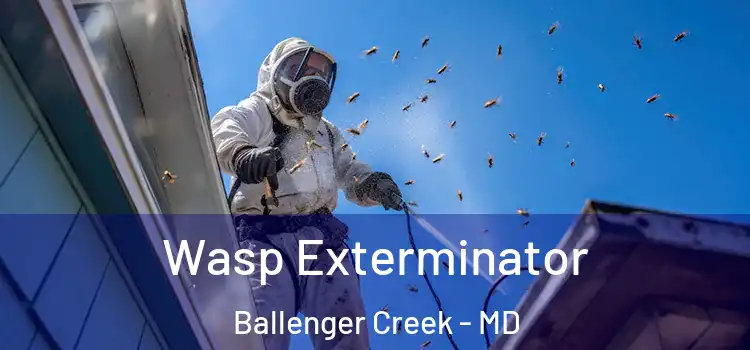  Wasp Exterminator Ballenger Creek - MD