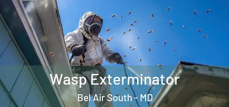  Wasp Exterminator Bel Air South - MD