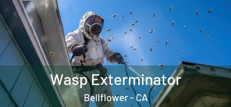  Wasp Exterminator Bellflower - CA