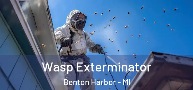  Wasp Exterminator Benton Harbor - MI