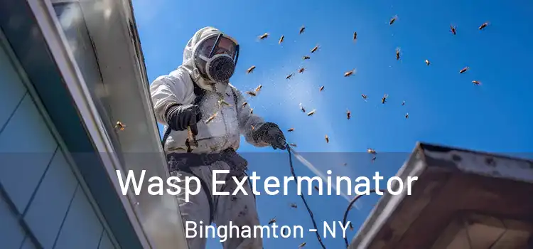  Wasp Exterminator Binghamton - NY