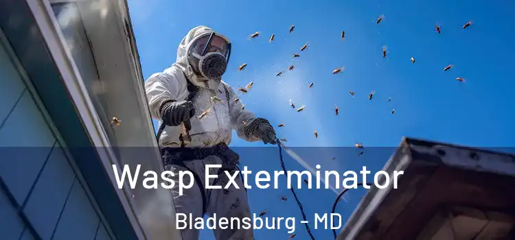  Wasp Exterminator Bladensburg - MD