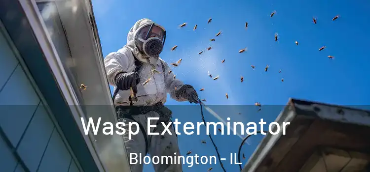  Wasp Exterminator Bloomington - IL