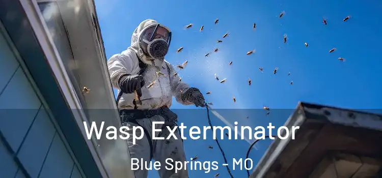  Wasp Exterminator Blue Springs - MO