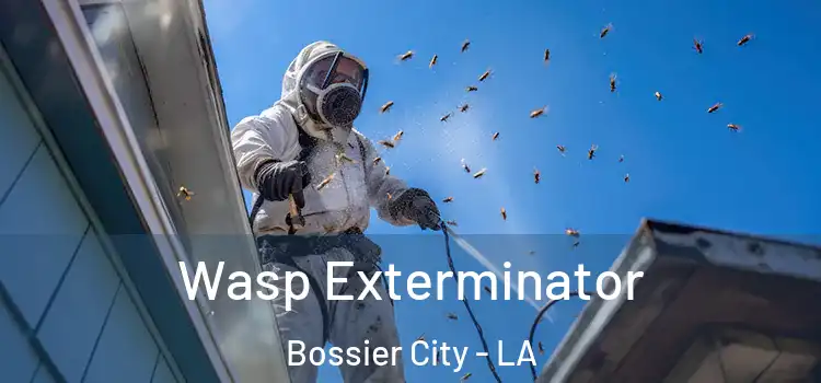  Wasp Exterminator Bossier City - LA
