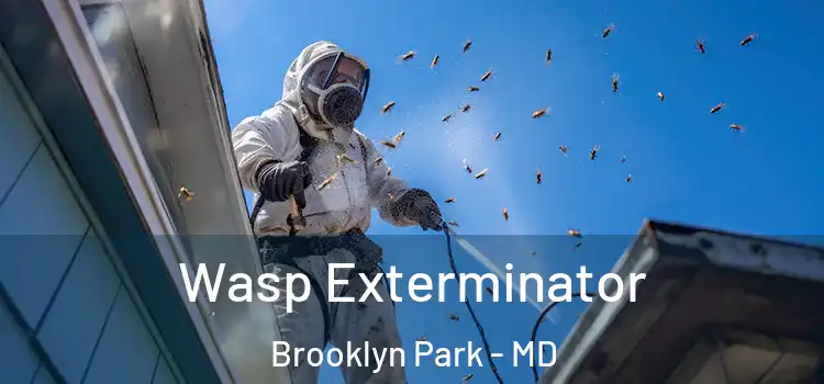 Wasp Exterminator Brooklyn Park - MD