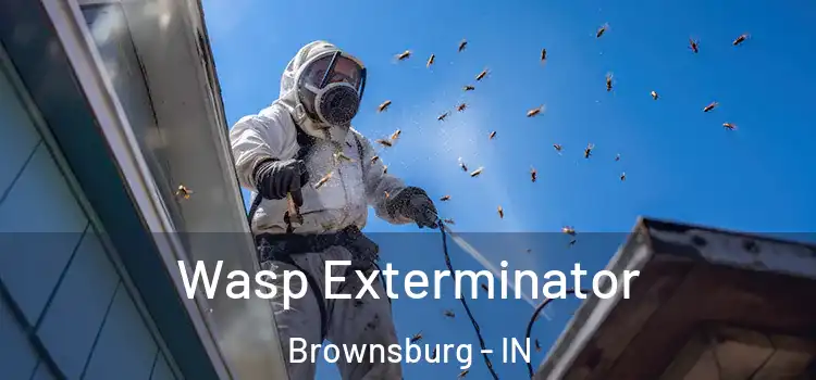  Wasp Exterminator Brownsburg - IN
