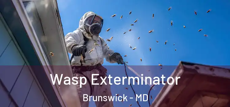  Wasp Exterminator Brunswick - MD