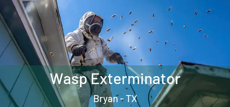 Wasp Exterminator Bryan - TX