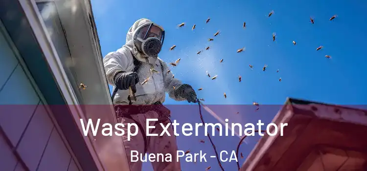 Wasp Exterminator Buena Park - CA