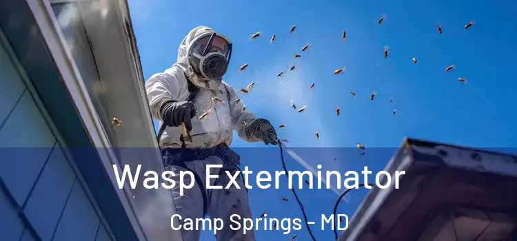  Wasp Exterminator Camp Springs - MD