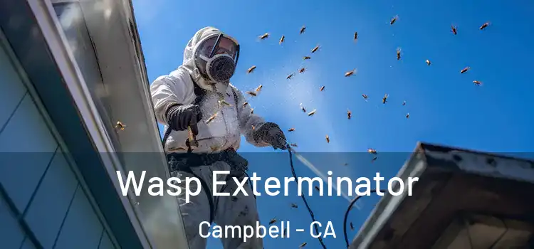  Wasp Exterminator Campbell - CA