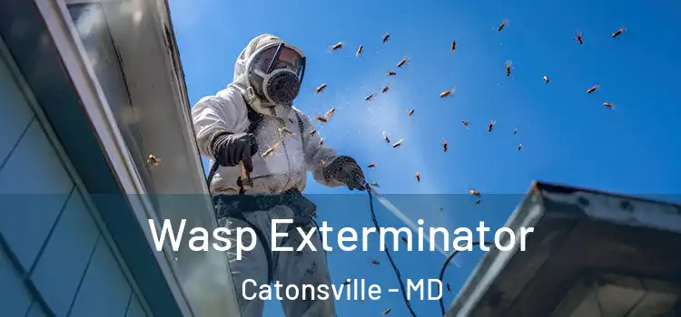  Wasp Exterminator Catonsville - MD