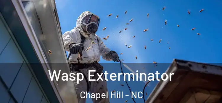 Wasp Exterminator Chapel Hill - NC
