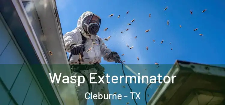 Wasp Exterminator Cleburne - TX