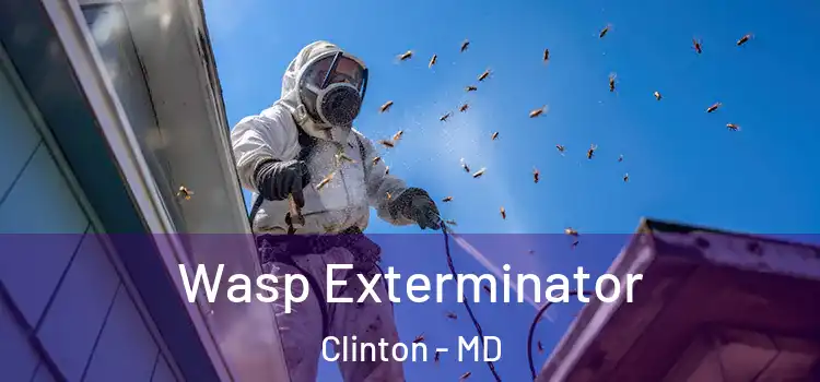  Wasp Exterminator Clinton - MD