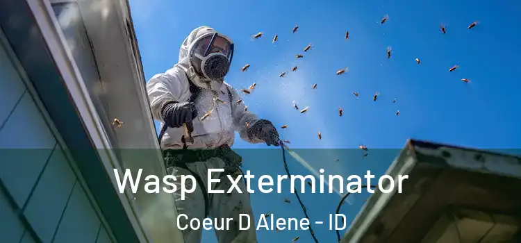  Wasp Exterminator Coeur D Alene - ID
