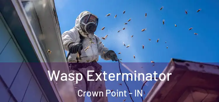  Wasp Exterminator Crown Point - IN