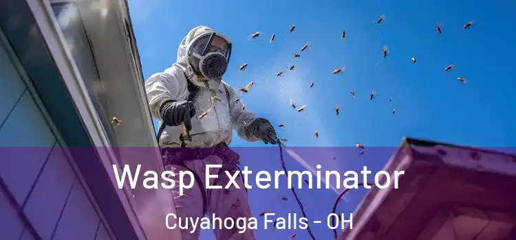 Wasp Exterminator Cuyahoga Falls - OH