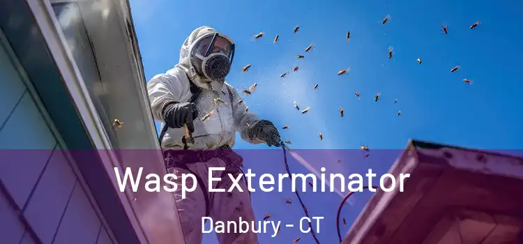  Wasp Exterminator Danbury - CT