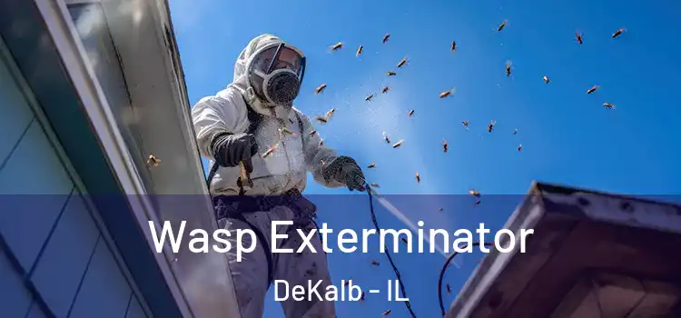  Wasp Exterminator DeKalb - IL