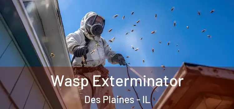  Wasp Exterminator Des Plaines - IL
