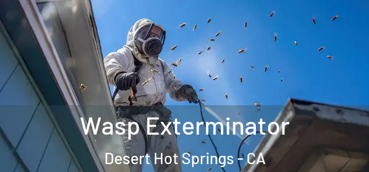 Wasp Exterminator Desert Hot Springs - CA