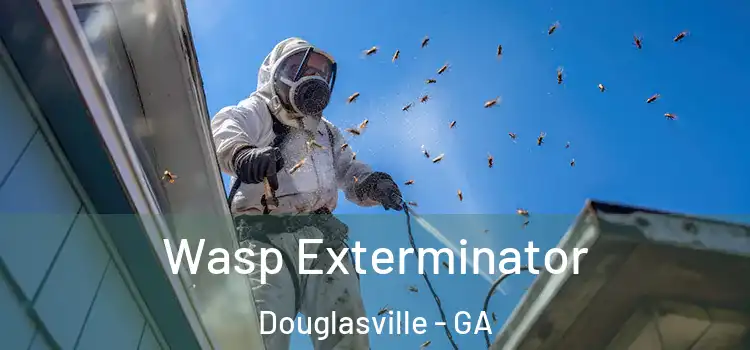  Wasp Exterminator Douglasville - GA