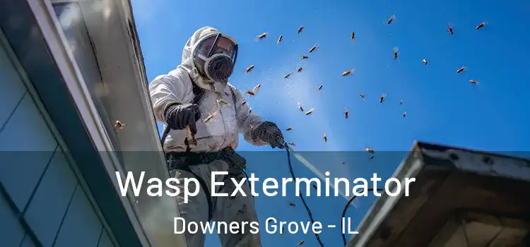  Wasp Exterminator Downers Grove - IL