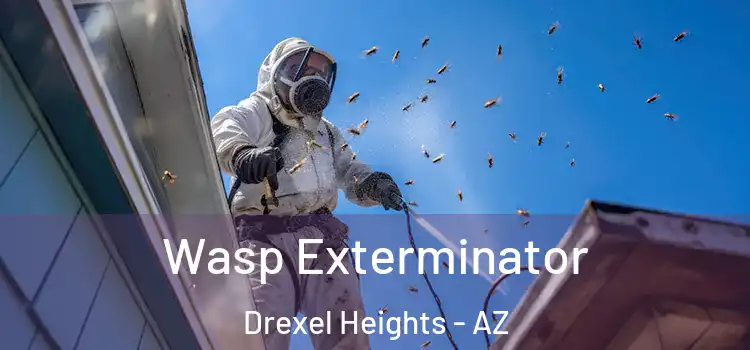  Wasp Exterminator Drexel Heights - AZ