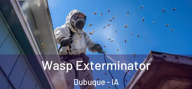  Wasp Exterminator Dubuque - IA