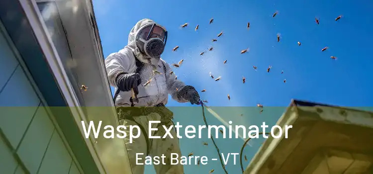  Wasp Exterminator East Barre - VT