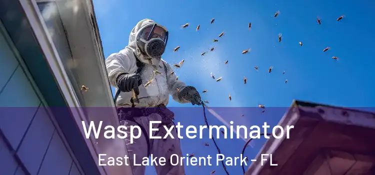  Wasp Exterminator East Lake Orient Park - FL
