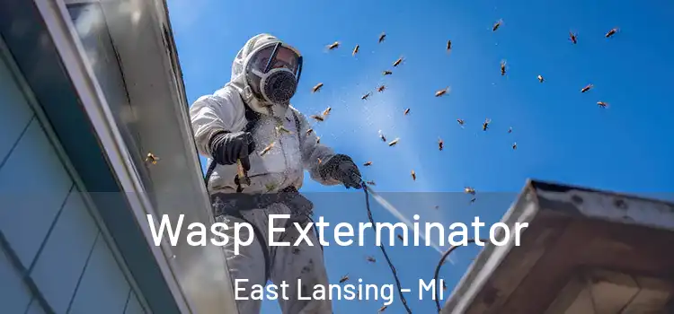 Wasp Exterminator East Lansing - MI