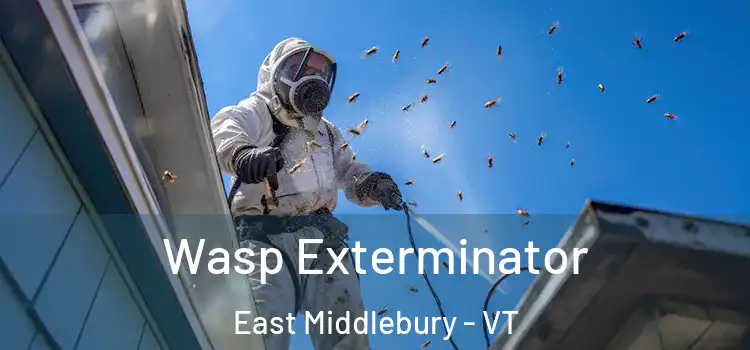 Wasp Exterminator East Middlebury - VT