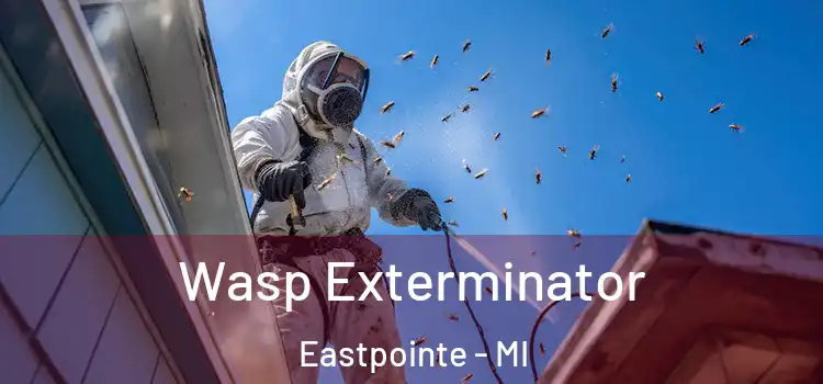  Wasp Exterminator Eastpointe - MI