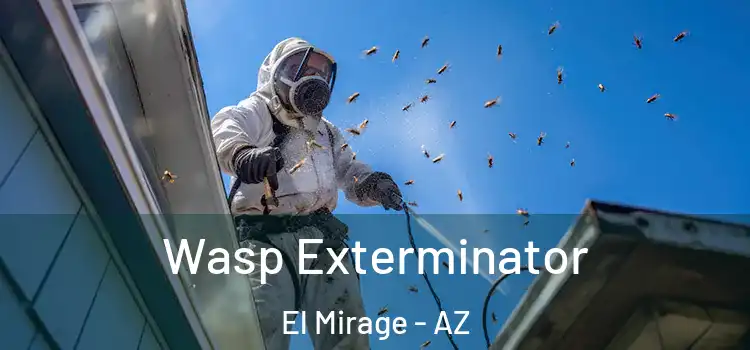  Wasp Exterminator El Mirage - AZ