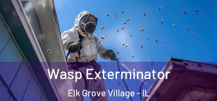  Wasp Exterminator Elk Grove Village - IL