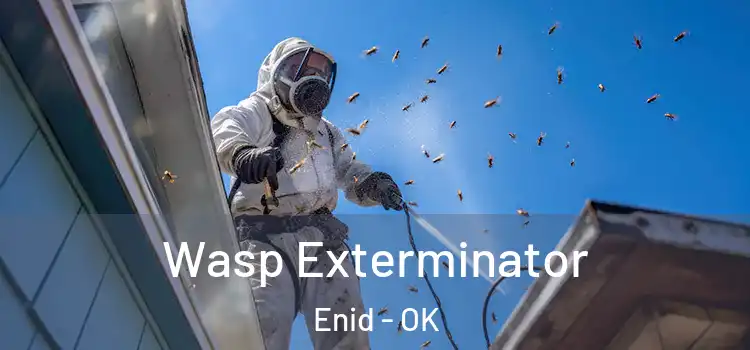  Wasp Exterminator Enid - OK