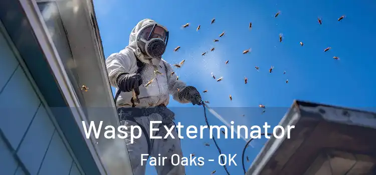  Wasp Exterminator Fair Oaks - OK