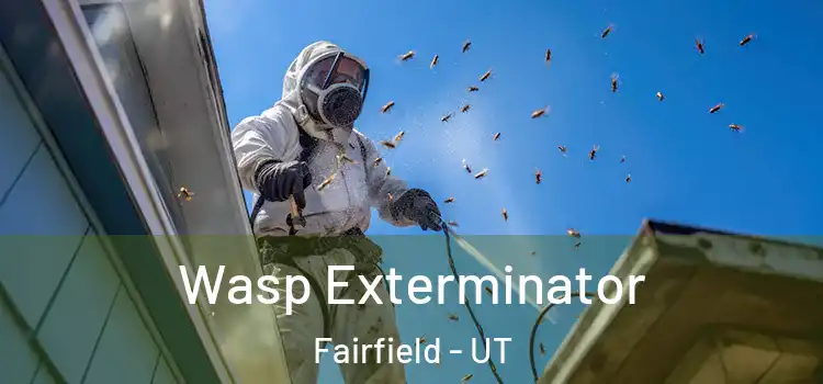  Wasp Exterminator Fairfield - UT