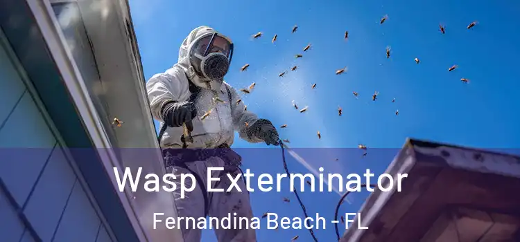  Wasp Exterminator Fernandina Beach - FL